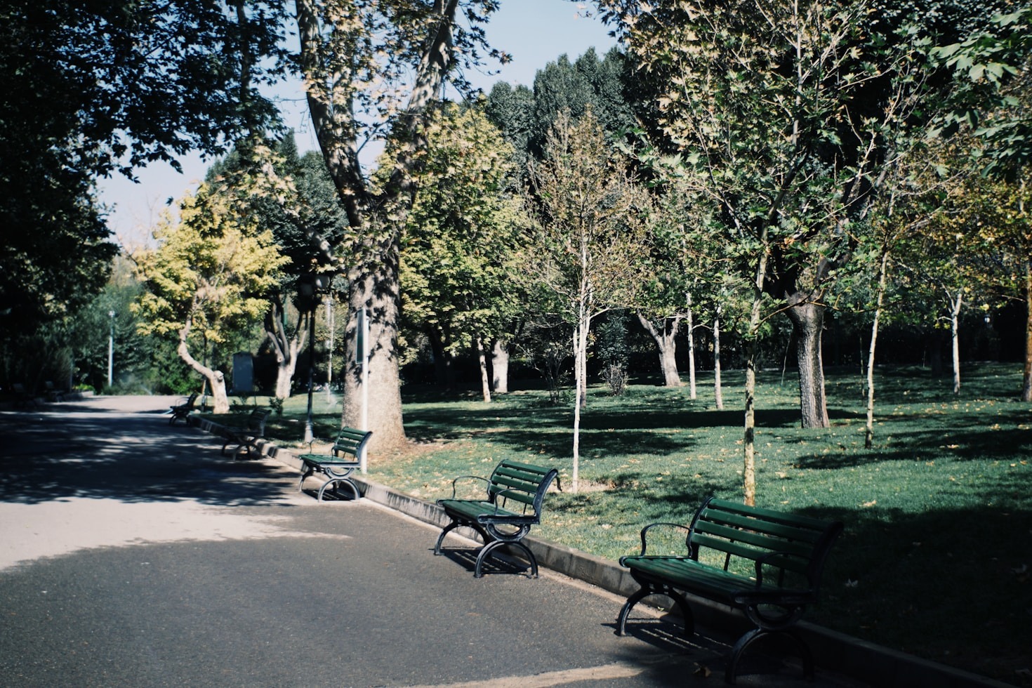 Why Shantalla Park Is Crucial for Galway