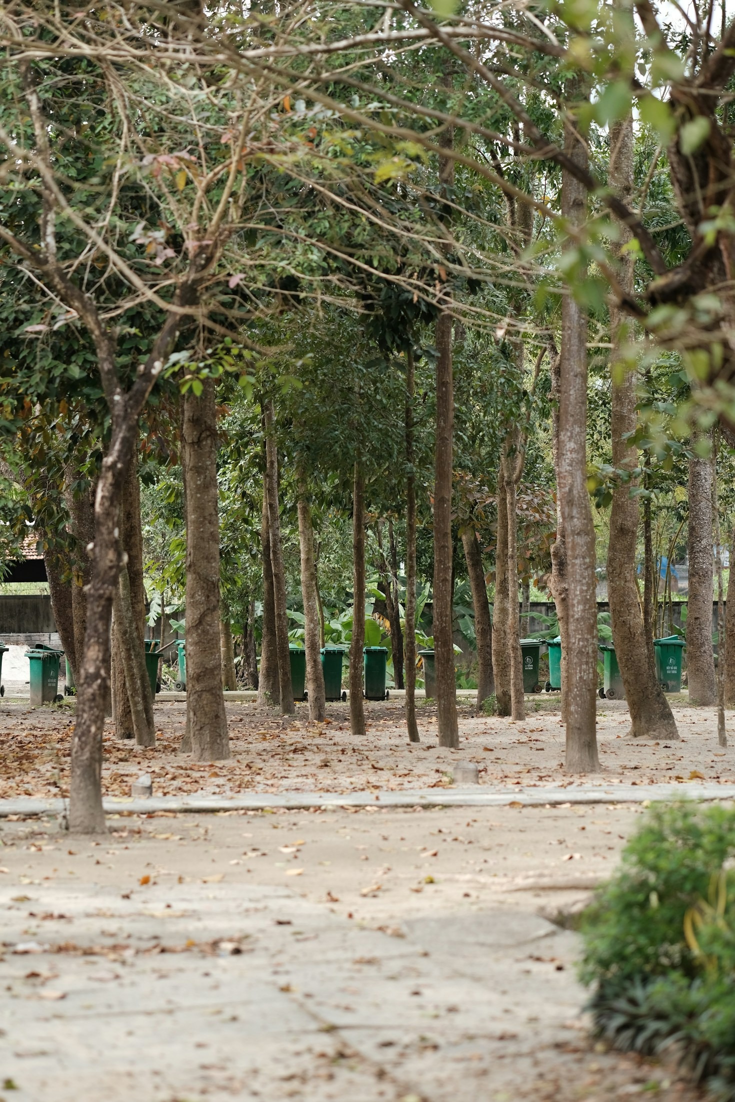 The Impact of Selling Shantalla Park: A Perspective