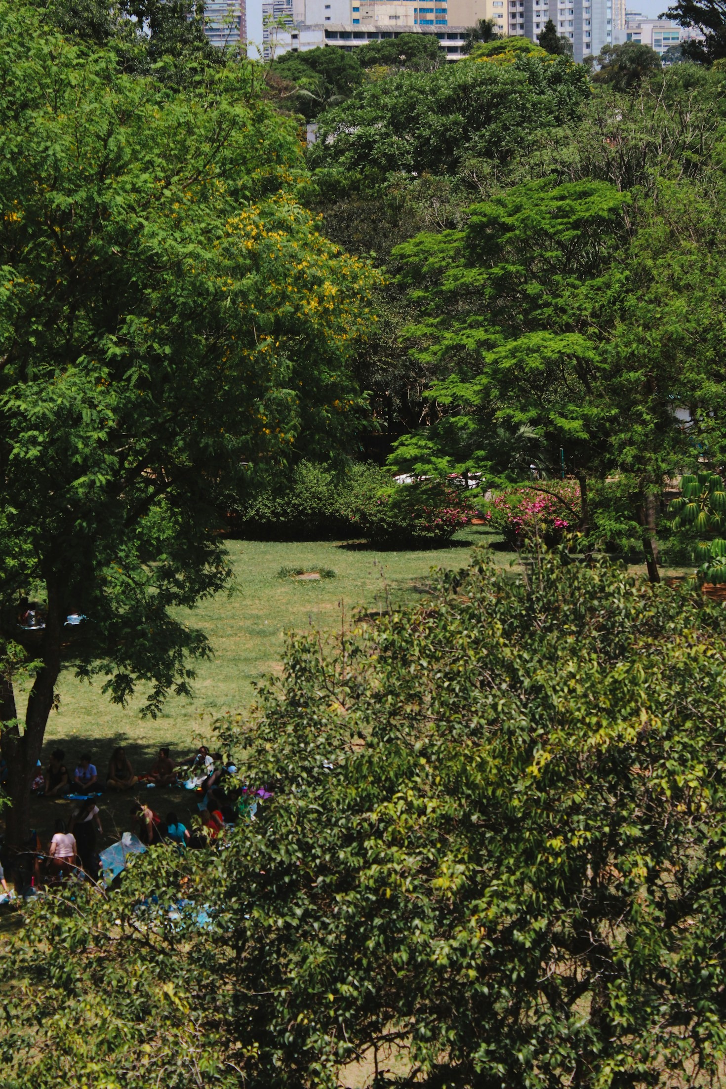 How the Community Can Stand for Shantalla Park