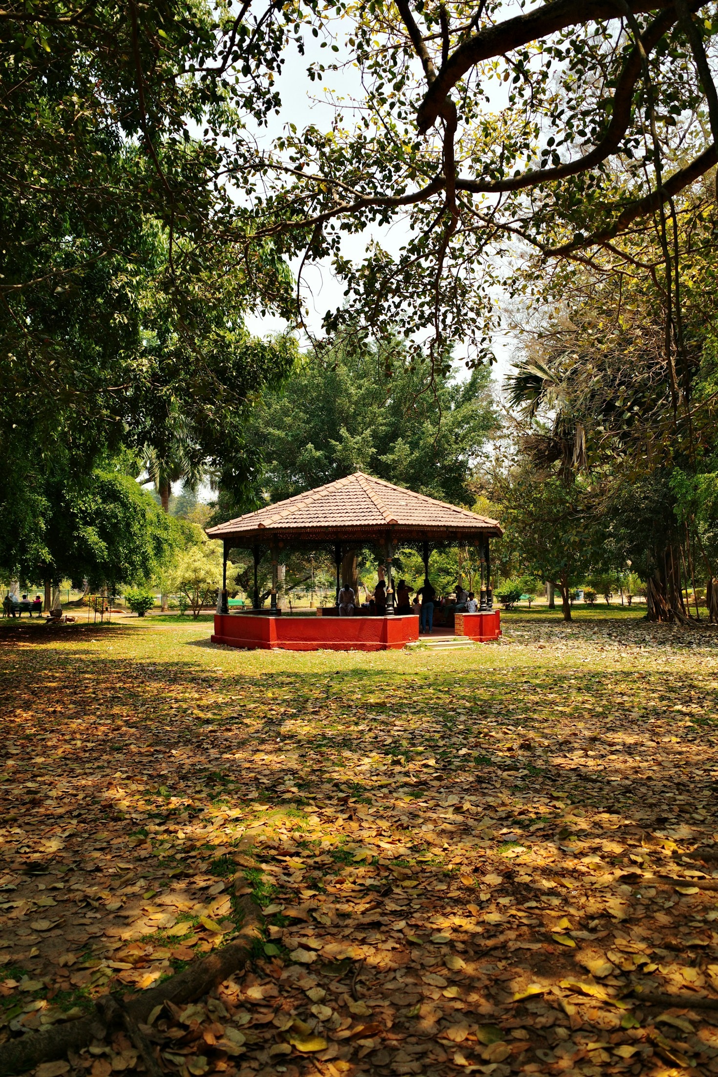 The History and Significance of Shantalla Park