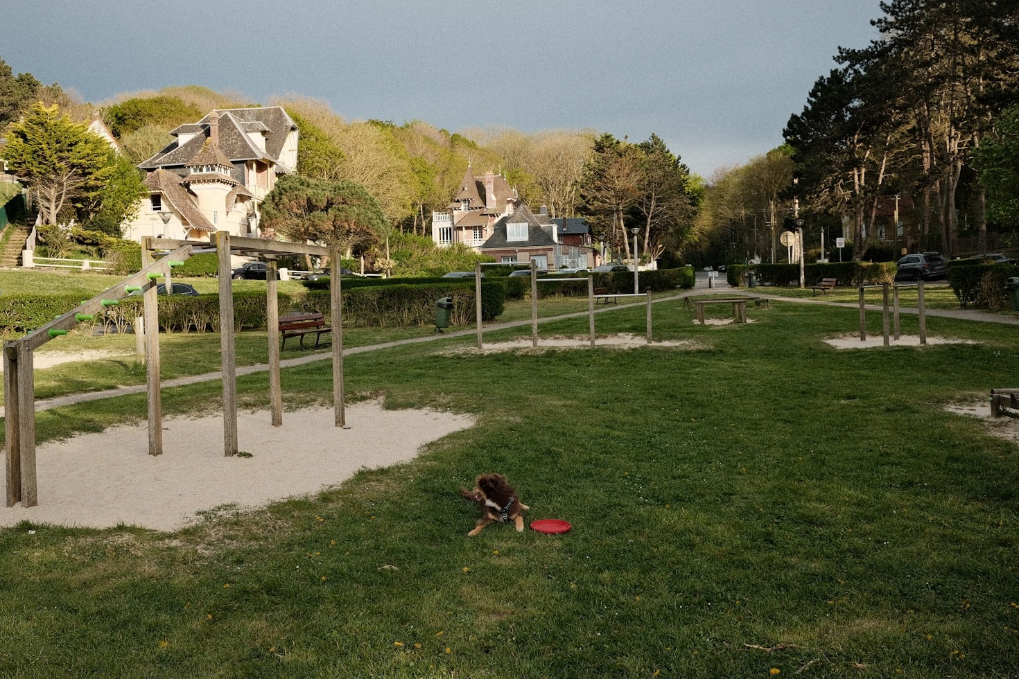 Galway’s Green Spaces: The Heart of the City